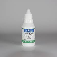 Women's Brown Leather Backpacks