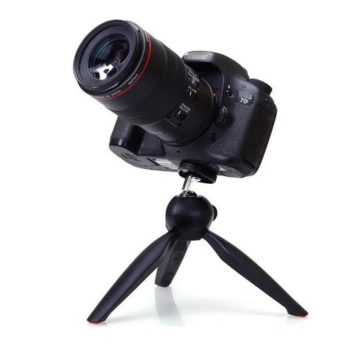 Women's Brown Leather Backpacks