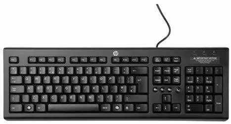 Women's Brown Leather Backpacks