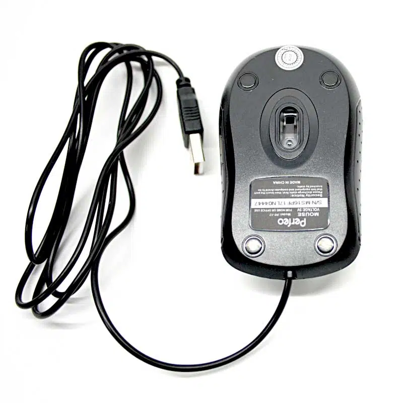 Women's Brown Leather Backpacks