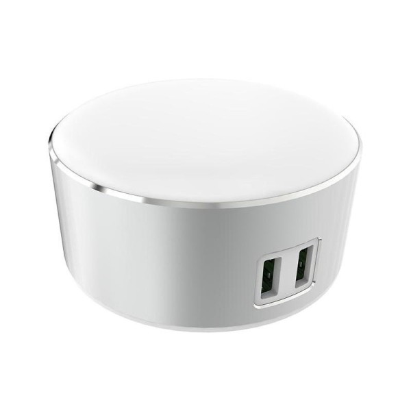 Women's Brown Leather Backpacks