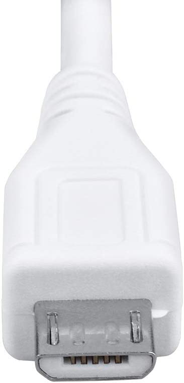 Women's Brown Leather Backpacks